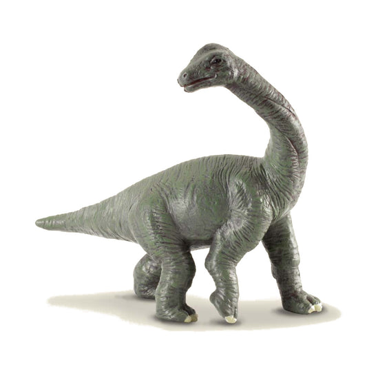 Collecta Brachiosaurus Baby