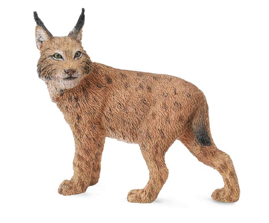 Collecta Lynx