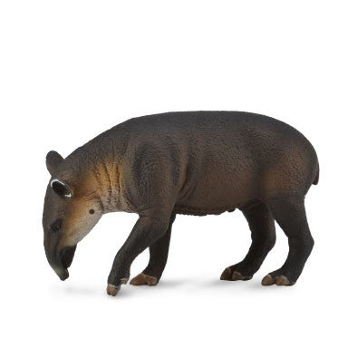 Collecta Bairds Tapir