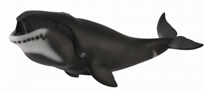 Collecta Bowhead Whale