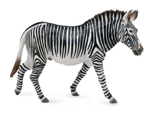 Collecta Grevys Zebra