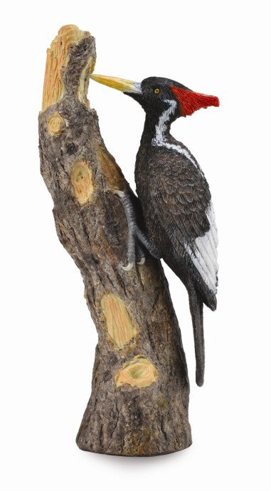 Collecta Ivory-billed Woodpecker