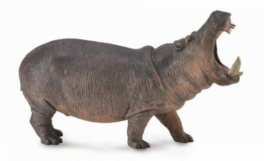 Collecta Hippopotamus
