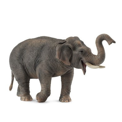 Collecta Asian Elephant