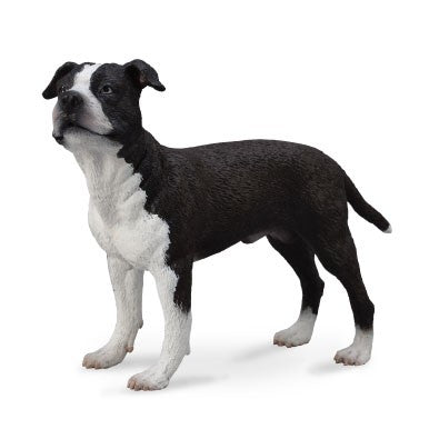 Collecta American Staffordshire Terrier