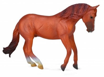Collecta Aust. Stock Horse Stallion C-nu